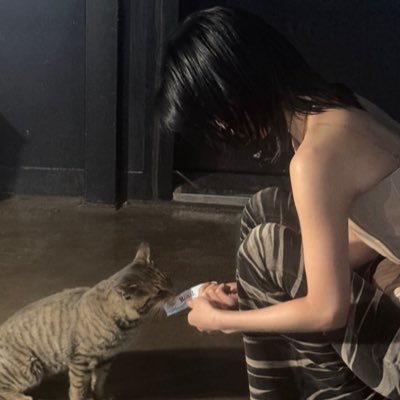 9dool4's profile picture. 