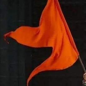 Saffron Bharat 🇮🇳 Profile