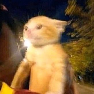 denito28's profile picture. mind that.