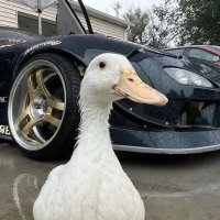 Gamo (@gamorolal) 's Twitter Profile