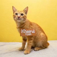 Khairul Oyen (@mamamia78531321) 's Twitter Profile
