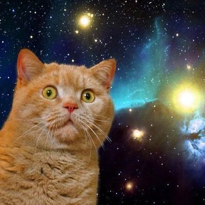 W9j6rLp0mU59592's profile picture. 雑多垢。ツイ消し常習犯。