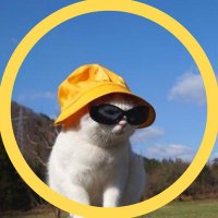 해냥 (@247winterer) 's Twitter Profile Photo