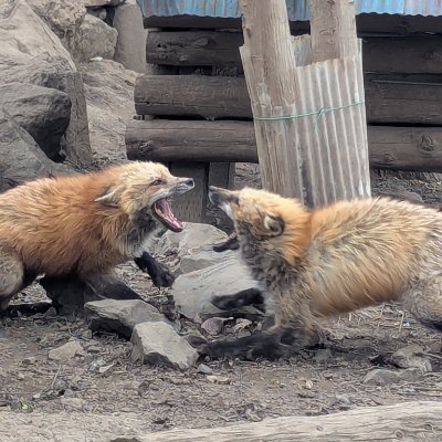 rEObkB1bWk1J9GQ's profile picture. 台中人的早餐  東泉+其他