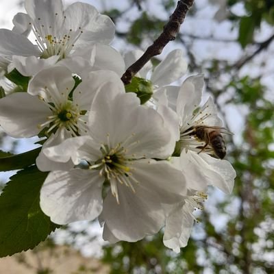 pymnu1's profile picture. 𝑖 𝑏𝑒𝑙𝑖𝑒𝑣𝑒 𝑡ℎ𝑎𝑡 𝑎𝑙𝑙𝑎ℎ 𝑤𝑖𝑙𝑙 𝑓𝑖𝑥 𝑒𝑣𝑒𝑟𝑦𝑡ℎ𝑖𝑛𝑔