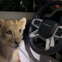 سفيان بن محمد (@dtu_9) 's Twitter Profile