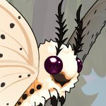 Test-Merry Xmas! (@arspanopticon) 's Twitter Profile