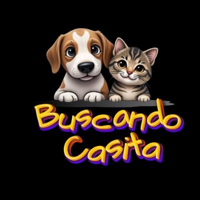 BuscandoCasita's profile picture. Nos enfocamos en la rehabilitación de gatos y perros abandonados. 💖 Proporcionamos cuidado, amor y un hogar temporal antes de ser adoptados.