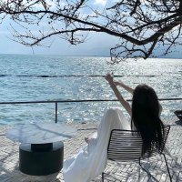 Anna Miller (@at_feed) 's Twitter Profile