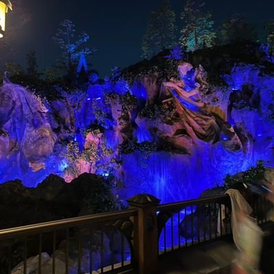 KotatsuKiwi's profile picture. 