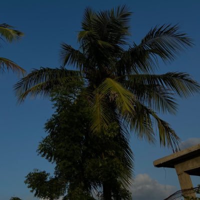 ramarao_v117's profile picture. 