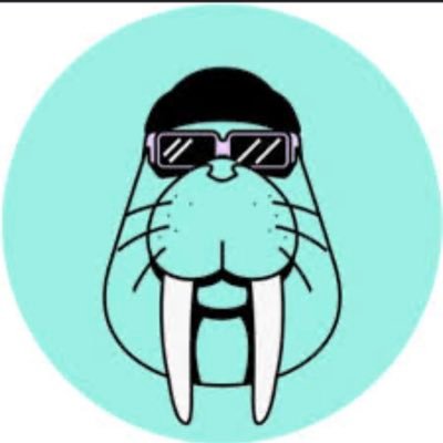 Hosseinra007's profile picture. Chasing crypto airdrops & vibing in the social scene! 🚀 Web3 news & tips Let’s make some crypto magic