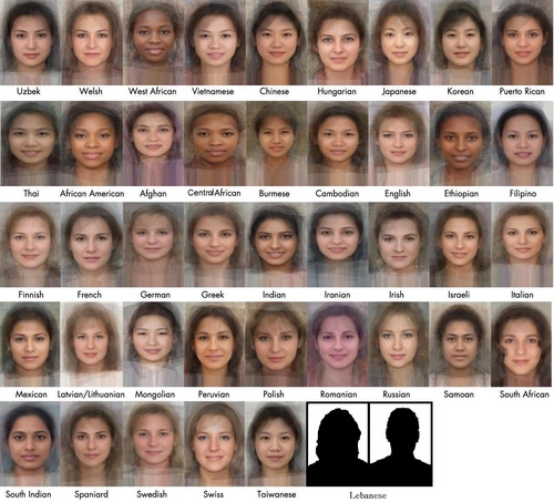 AverageLebanese's profile picture. 