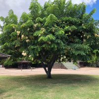 RunningNurse (@runningnurse12) 's Twitter Profile