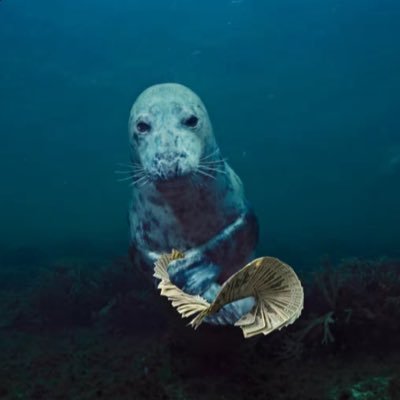 SevenInchJacq's profile picture. 21 | MDNI | He/him | lover girl with a bush enthusiast | 6’3 on a good day, 7.6” everyday | 🇺🇸 | ♏️