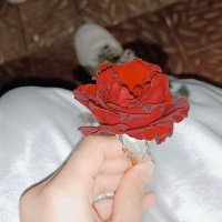 So So💗🌿. (@sookahmed11) 's Twitter Profile