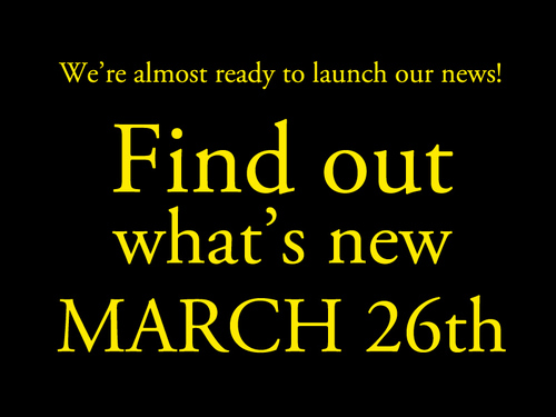 new_vote's profile picture. 