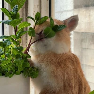 wyx_trouble's profile picture. Be myself