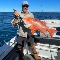 Geoff (@kingstakingsta1) 's Twitter Profile