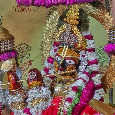 govinddevju's profile picture. Govinddevji_daily_darshan for daily darshan kindly like and follow please 
https://t.co/mQlcc9brnS
