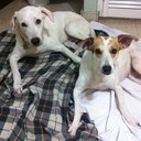 Joan Valdes - @JoanMarieV - Twitter