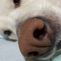 モモ (@psevfjbvtyh8meq) 's Twitter Profile
