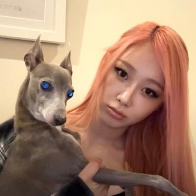 GGamooooooGigi's profile picture. GISELLE🖤