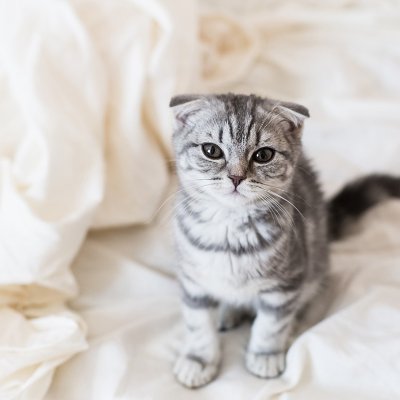 luckycall0328's profile picture. 经常犯错 常怀偏见