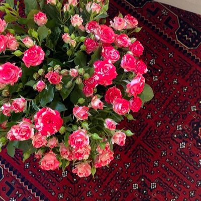 اللهم البشارات التي نُحب ، والأيام التي تَسّر 💓.