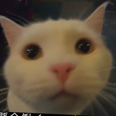 D15Oke9's profile picture. ギターを弾いてます