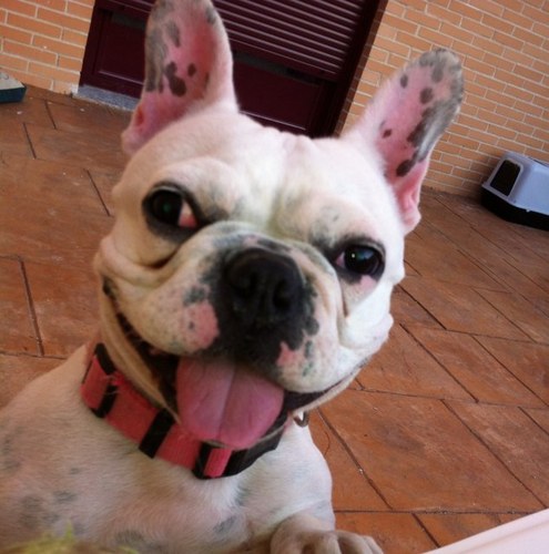 toto_86_lala's profile picture. 