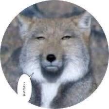 すなおじさんさんのプロフィール画像