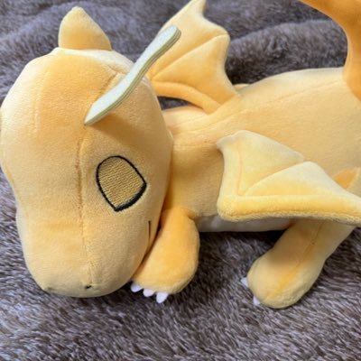 meijo_yasai's profile picture. 野菜@yasai_pokequizの大学垢/名城 情報工 B1