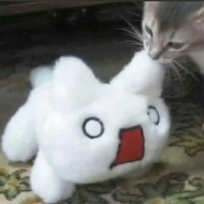 l_alex_x's profile picture. ❤️🧯📍❤️
🚫转载 英文使用翻译器 感谢喜欢💕