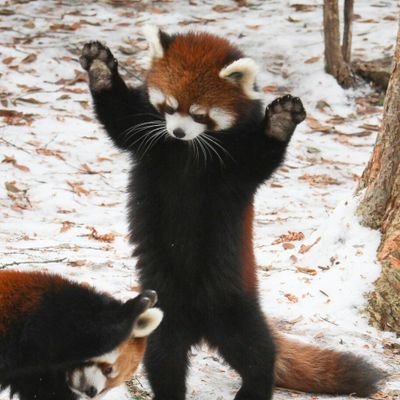 verum34's profile picture. чай поставьте