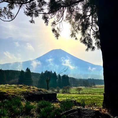 haruharu41203's profile picture. 