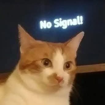 itsjoeyman's profile picture. 23