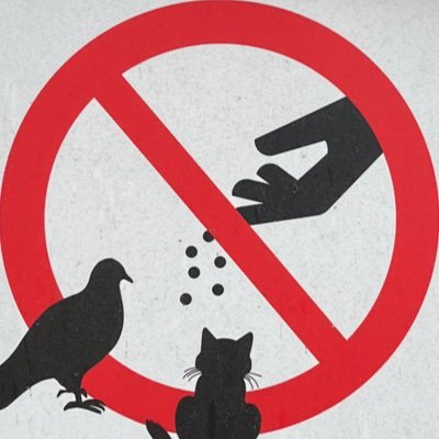 456_hoo's profile picture. 週休６日