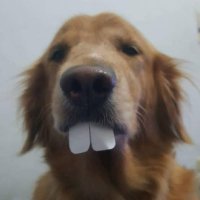 เอ็มพี 💅🏻หวีดหมดไม่สนลูกใคร ก็เราตัวแม่หนิ (@mpk111103) 's Twitter Profile