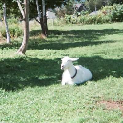 ehl09_am's profile picture. ᙏ̤̫͚ ｡oO（ Tokyo my 10years working )