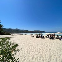 Alistair Dormer (@alidormer) 's Twitter Profile Photo