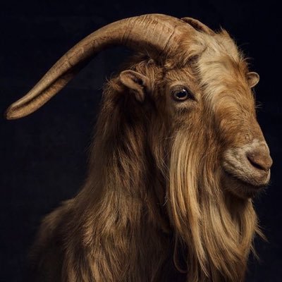 Smartoffictd's profile picture. 