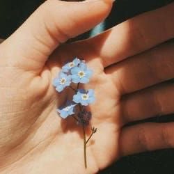 keykey0563's profile picture. 家庭連合二世です🌿私の投稿はあくまで私自身の経験なので、二世はこうだという発信ではありません。