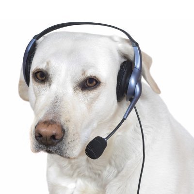 Twitch - https://t.co/WiCxMcMPiQ
TG - https://t.co/cSjdy17oP4