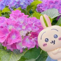 リエール🌸 (@lierre_1310) 's Twitter Profile Photo リエール🌸 (@lierre_1310) 's Twitter Profile Photo
