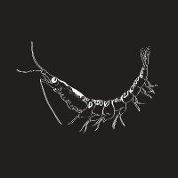 drkrillo (@__sucho) 's Twitter Profile Photo drkrillo (@__sucho) 's Twitter Profile Photo