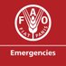 FAO in Emergencies (@faoemergencies) Twitter profile photo FAO in Emergencies (@faoemergencies) Twitter profile photo