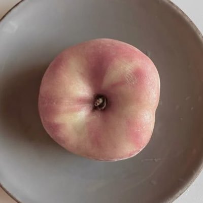 Peach girl 할거임 but 추구미 : 올드머니, 드뮤어🫧 방구석 퍼컬 전문가 🌈