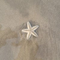 Kin_A_AA_🩵🧡_Kpop (@__hi__boo__) 's Twitter Profile Photo Kin_A_AA_🩵🧡_Kpop (@__hi__boo__) 's Twitter Profile Photo