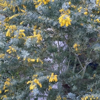 Q2iotEc8Nq95528's profile picture. 